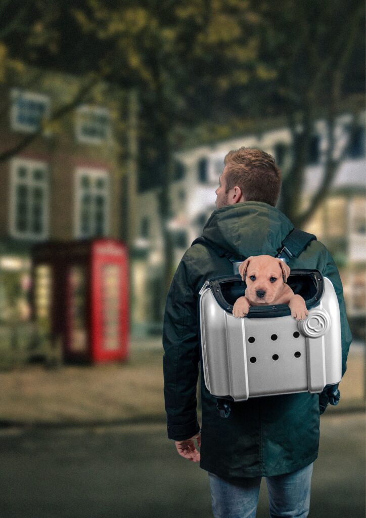 Trolley chien – photo 2