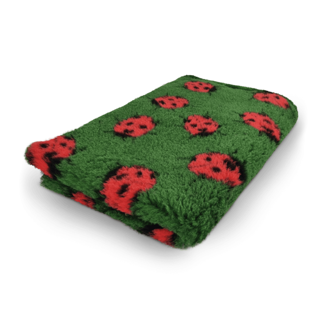 Vet bed coeur – photo 4