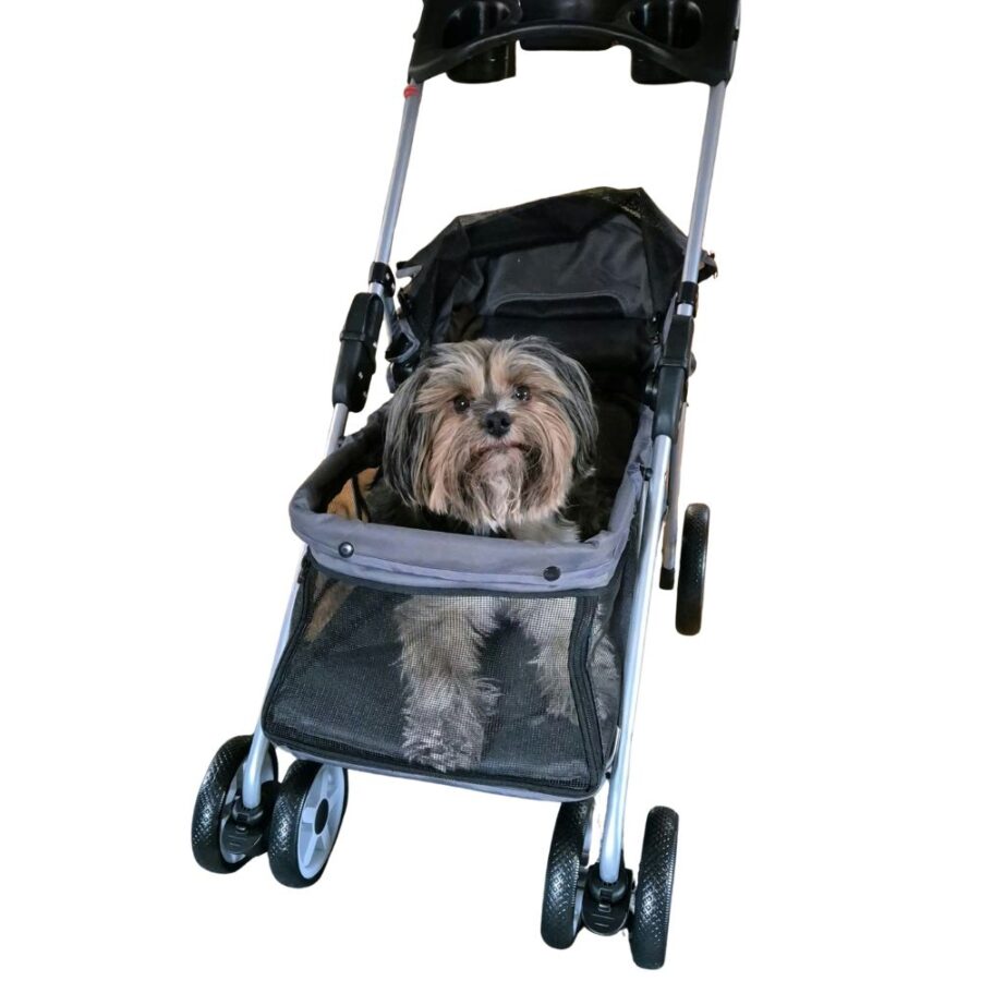 Poussette Pour Petits Chiens