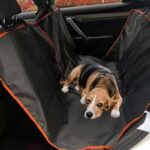 Bache Chien Voiture