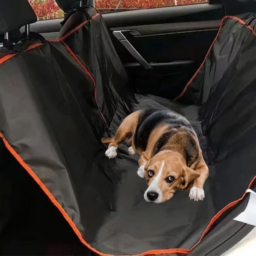 Bache Chien Voiture