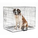 Cage Transport Chien XXL Galvanisée Pliable 2 Portes Avec Plateau Métallique