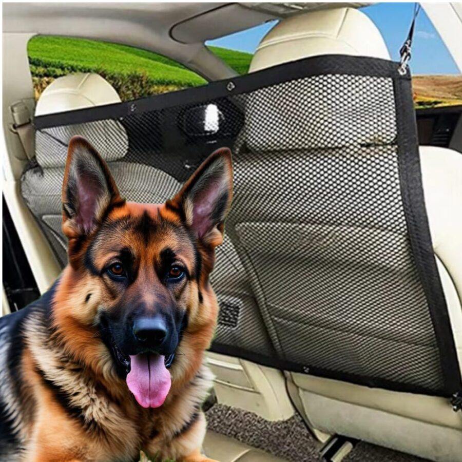 Filet Protection Chien Voiture