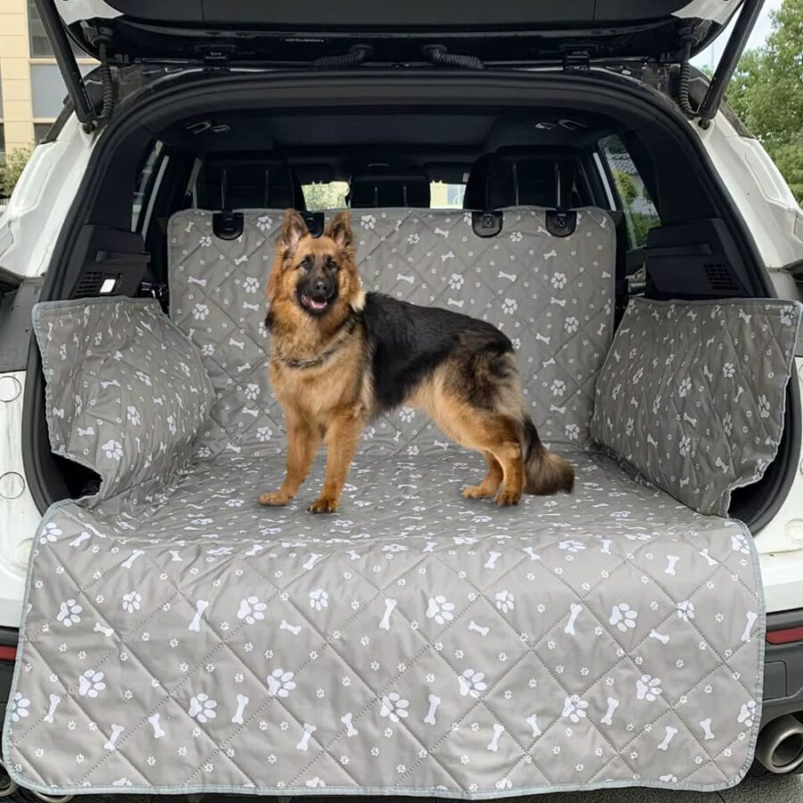 Protection Coffre Voiture Pour Chien