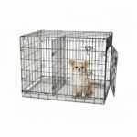 Cage Education Petit Chien