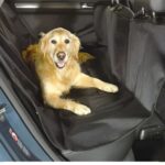 Golden retriever couché sur une housse noire recouvrant la banquette arrière