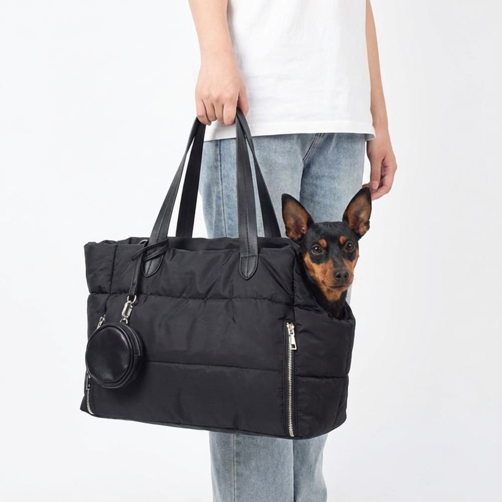 Sac de transport pour chien 5 kg chihuahua yorkshire bichon