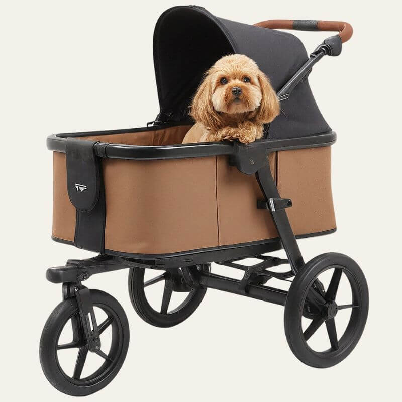 chien en poussette sur cages-chien.fr