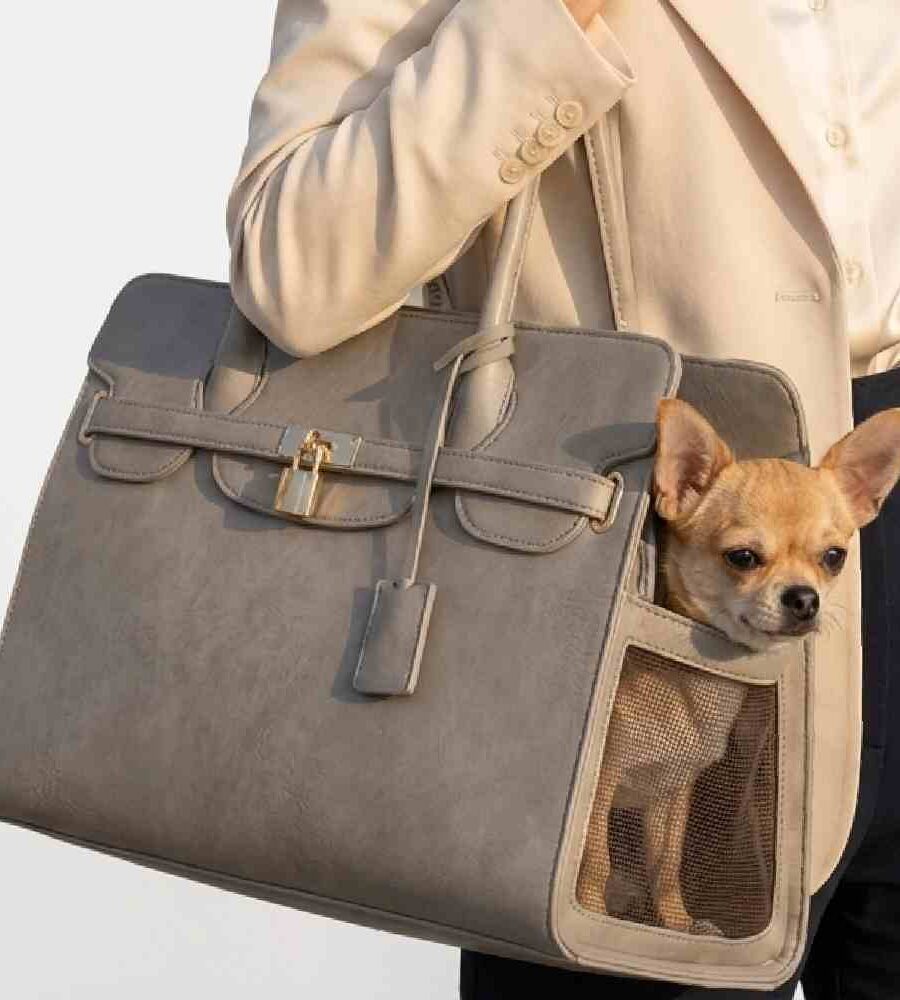Sac chien gris raffiné urbain moderne discret sophistiqué intemporel style