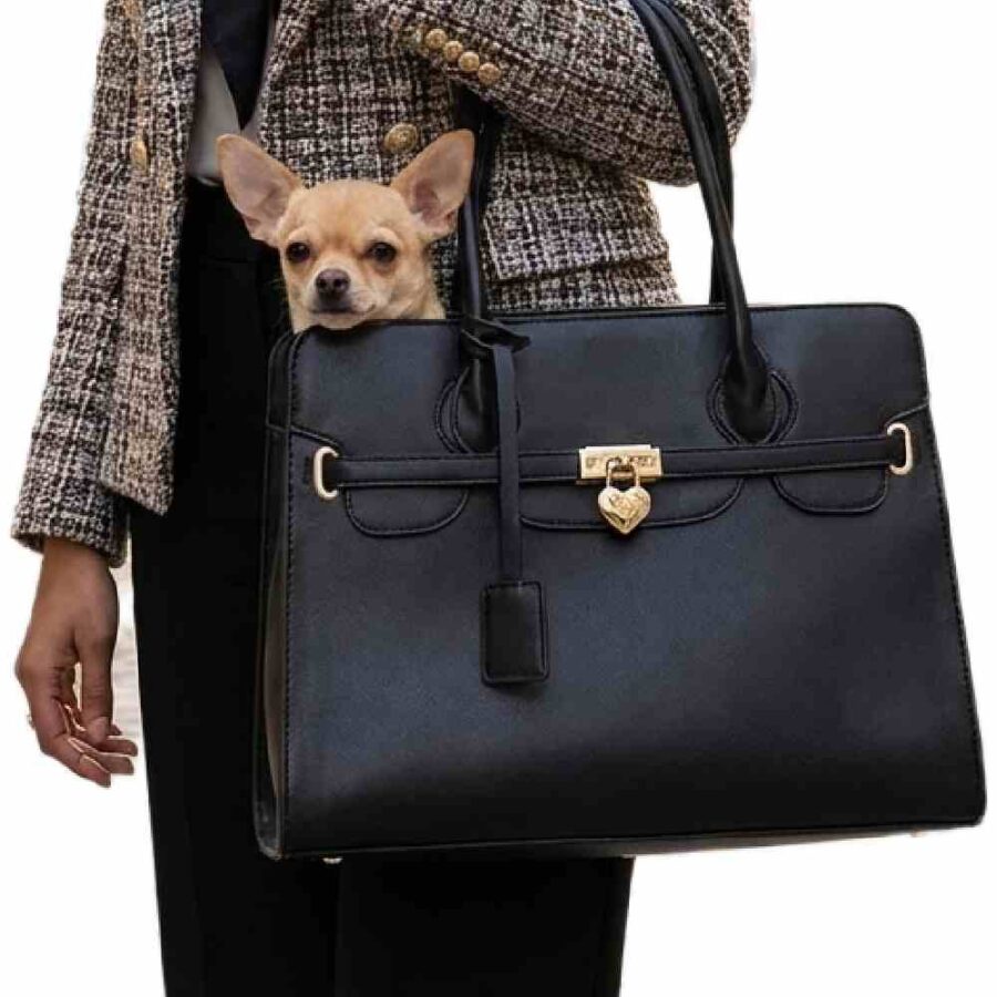 Sac transport chien noir respirant anti-condensation