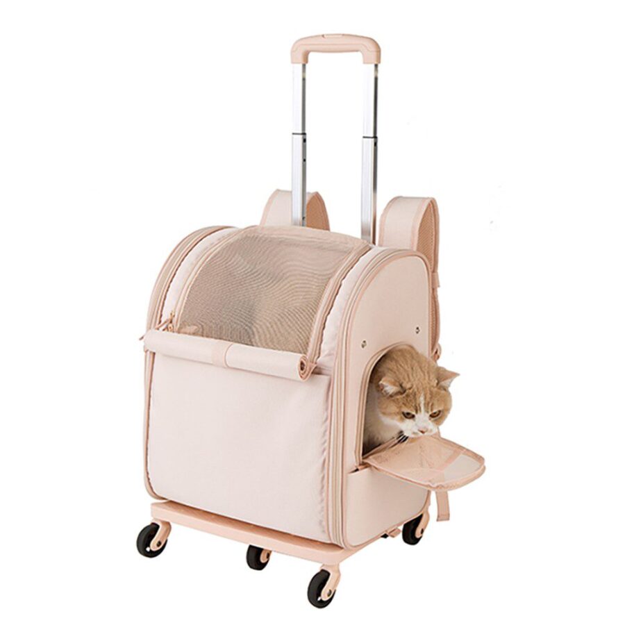 Sac à roulettes de transport beige rosé avec poignée télescopique et chat roux sortant la tête par la porte latérale