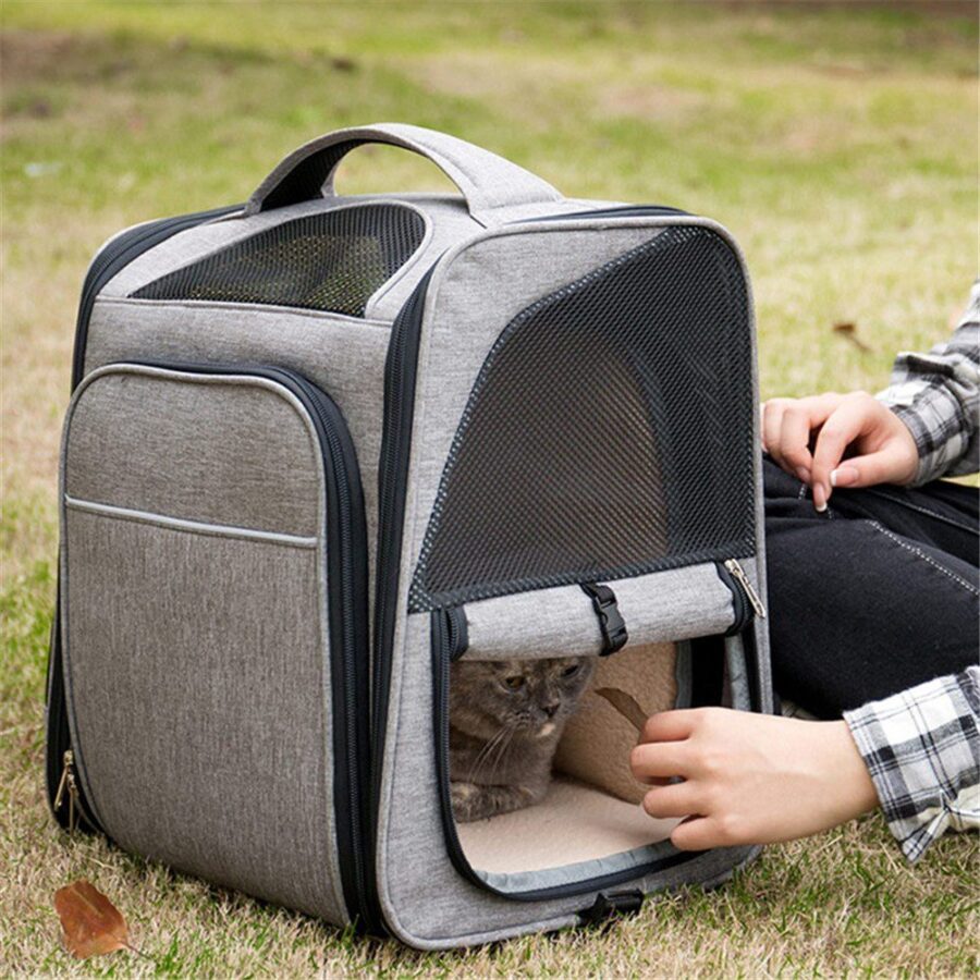 Sac à dos gris posé sur l'herbe, panneau avant rabattu où l'on devine un chat, avec la main d'une personne assise près de lui
