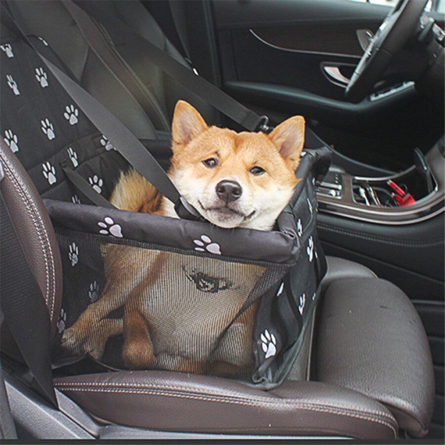 Chien shiba assis dans un siège de voiture suspendu noir à motif de pattes, sur le siège passager d'une voiture