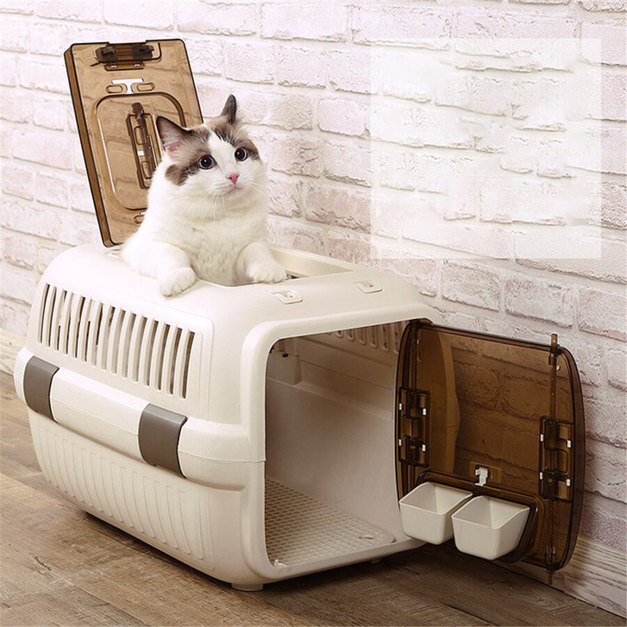 Cage de transport avion petit chien – 50 x 33 x 29 cm, plastique