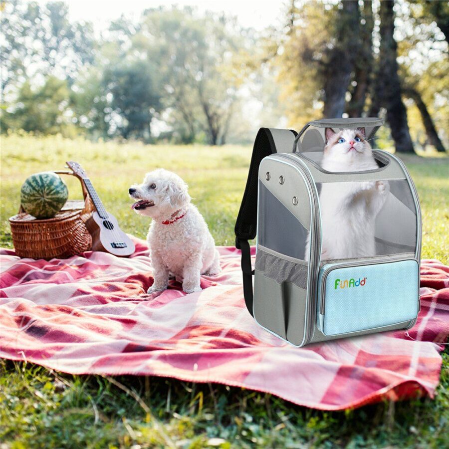 Sac à dos à fenêtre gris et turquoise avec un chat, posé sur un plaid de pique-nique à côté d'un chien