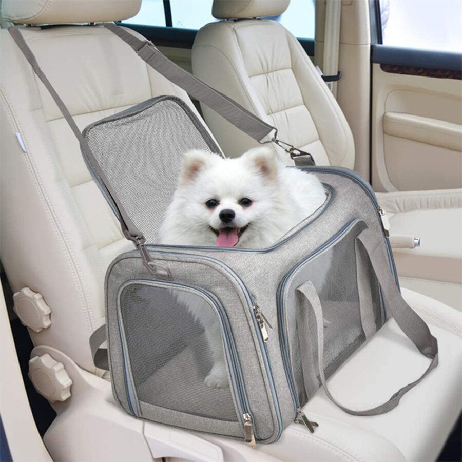 Petit chien blanc, langue sortie, dans un sac gris clair à fenêtres en filet, posé sur la banquette beige d'une voiture