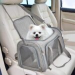 Petit chien blanc et crème dans un sac gris posé sur un siège de voiture beige, avec bandoulière passée derrière