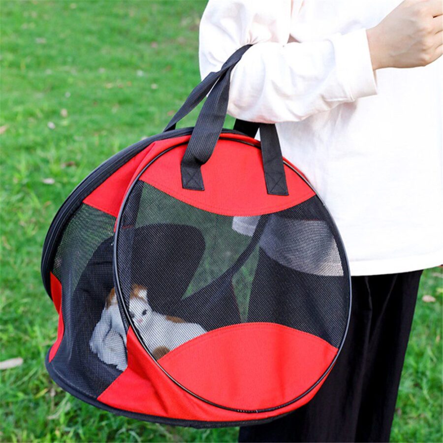 Femme tenant par les anses un sac rond rouge et noir en filet sur l'herbe, chat blanc et brun visible à l'intérieur