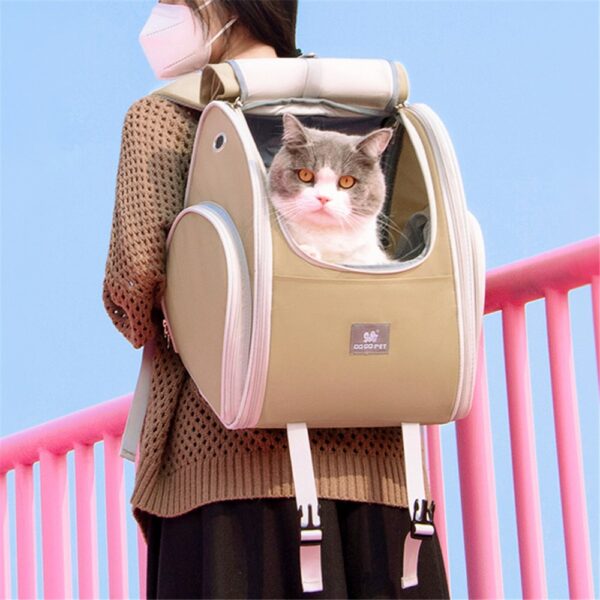 Femme portant un sac à dos beige avec un chat gris à l'intérieur, devant une rambarde rose et un ciel bleu