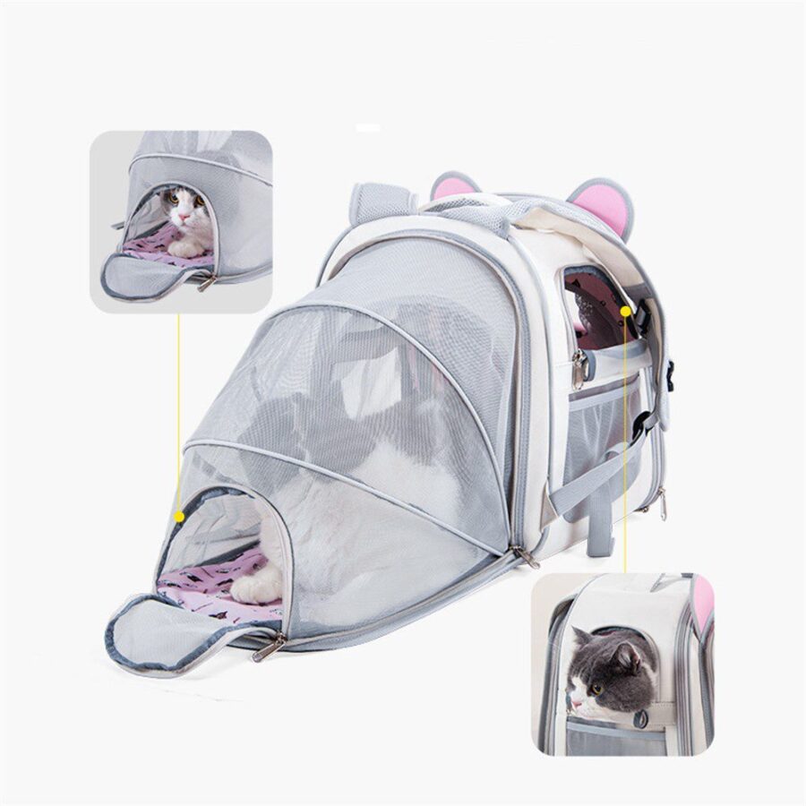 Sac à dos extensible avec oreilles de chat roses, partie arrière dépliée en filet, avec un chat à l'intérieur
