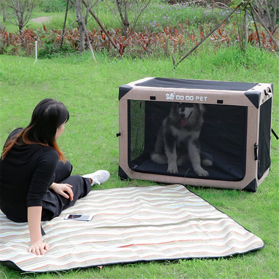 Husky assis dans une cage en tissu beige et noire posée dans l'herbe à côté d'une femme sur un plaid