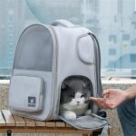 Sac à dos gris pour chat, un chat gris et blanc passe la tête par l'ouverture avant tandis qu'une main le caresse