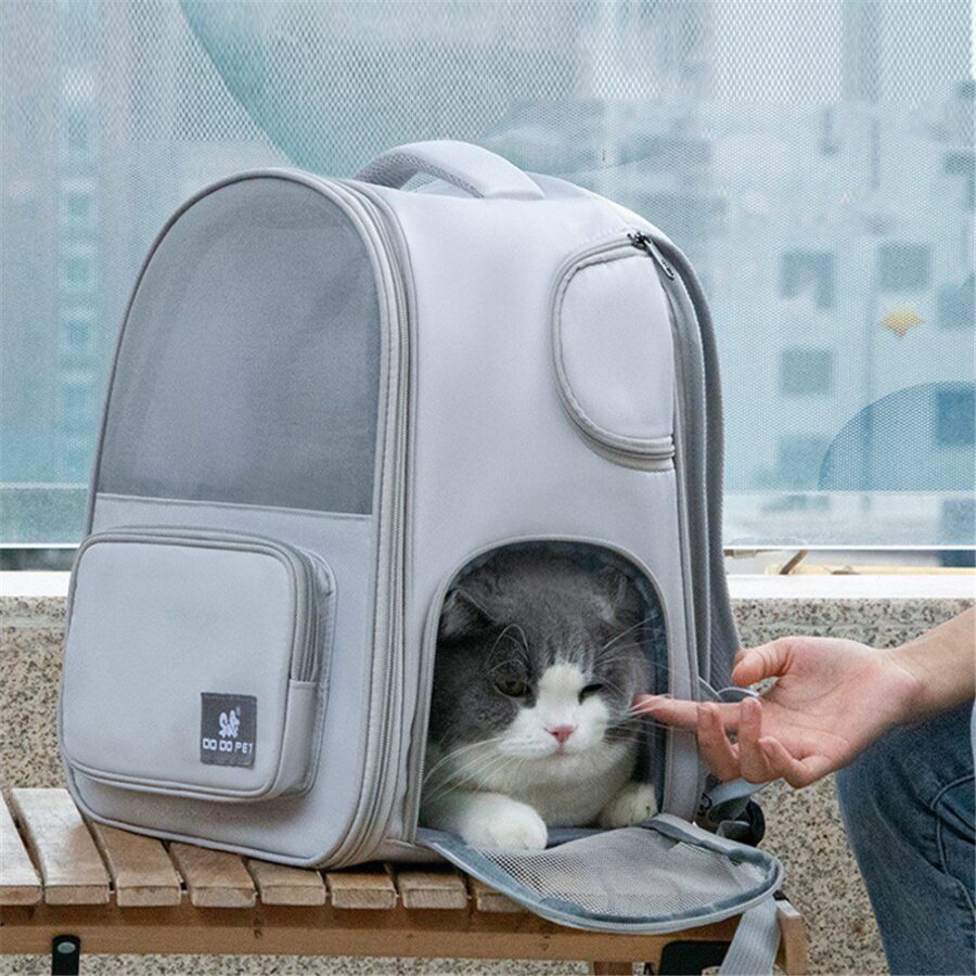 Sac à dos gris pour chat, un chat gris et blanc passe la tête par l'ouverture avant tandis qu'une main le caresse
