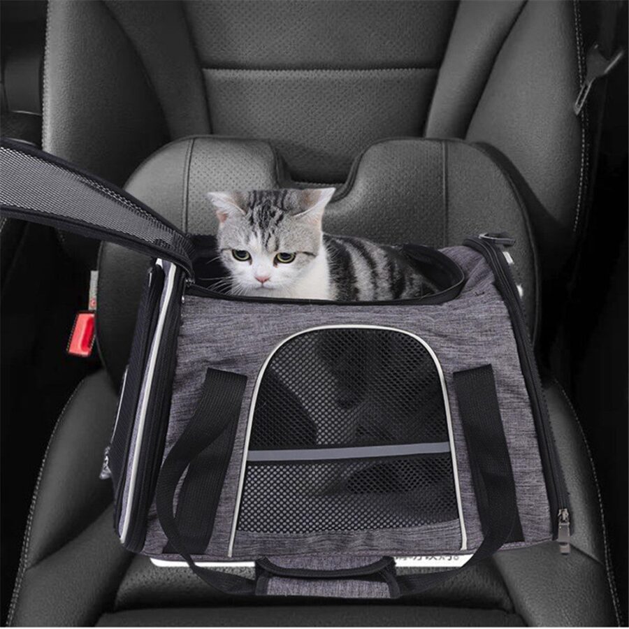Chat tigré qui lève la tête depuis un sac de transport gris sur un siège auto, côté ventilé en tissu filet visible