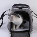 Chat blanc et gris debout dans le sac gris, vu de près avec son tapis blanc et les anses rabattues sur les côtés