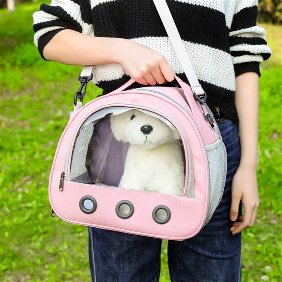Personne en pull rayé noir et blanc portant un sac rose transparent à l'avant, devant une pelouse