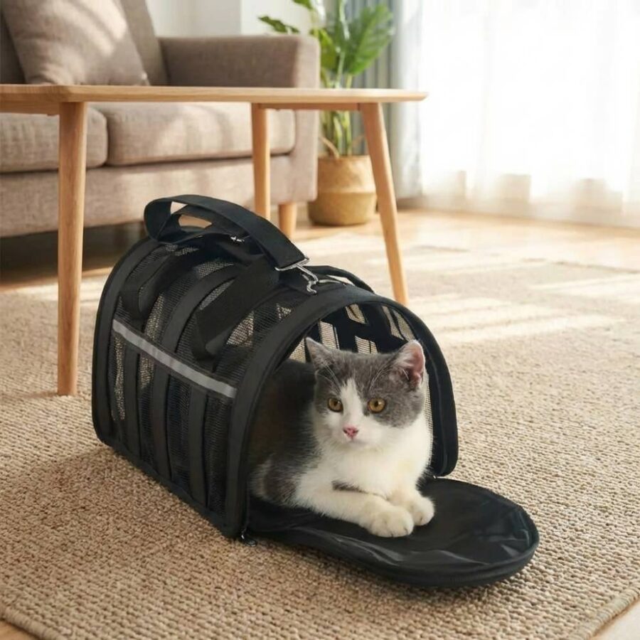 Chat gris et blanc couché dans un sac de transport noir ouvert, posé sur un tapis dans un salon