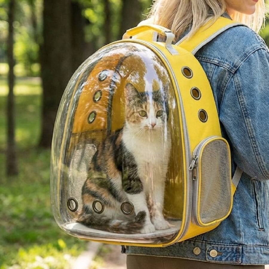 gros plan Sac à Dos Transport Chat Oxford Jaune avec jeune fille blonde dans un parc public