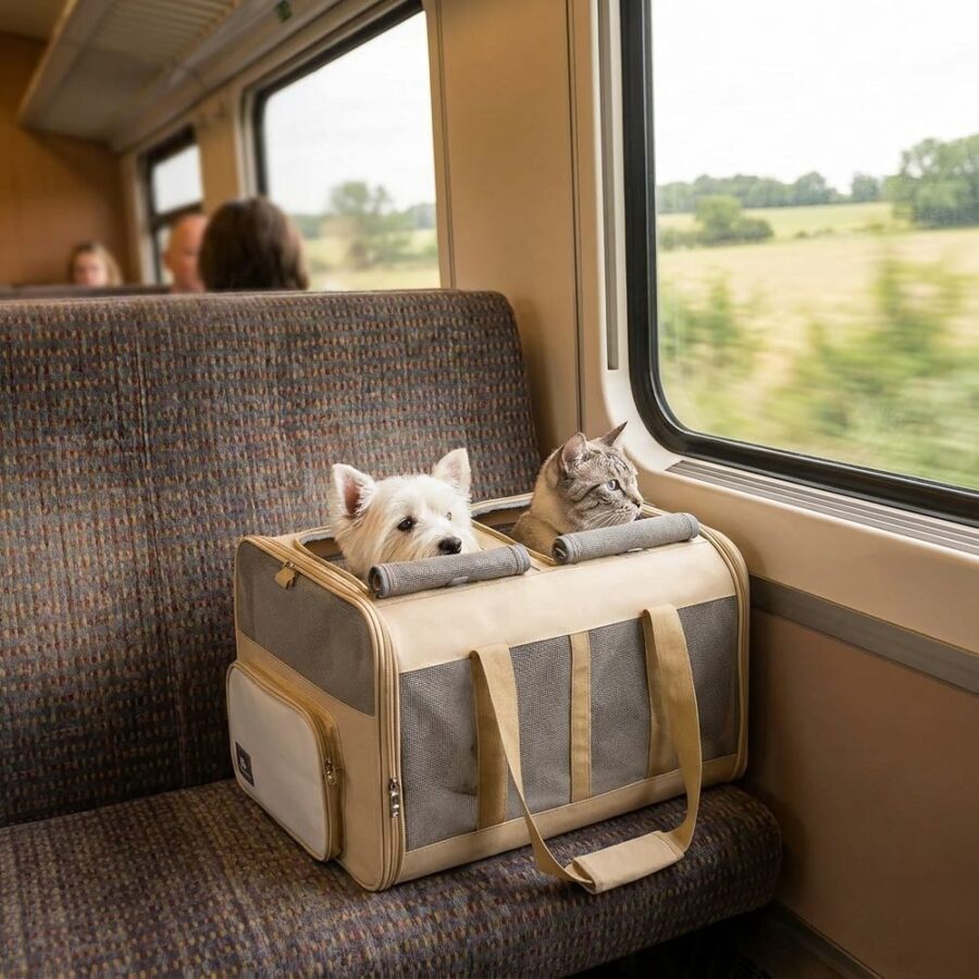 Petit chien blanc et chat tigré dans un sac de transport beige et gris posé sur une banquette de train