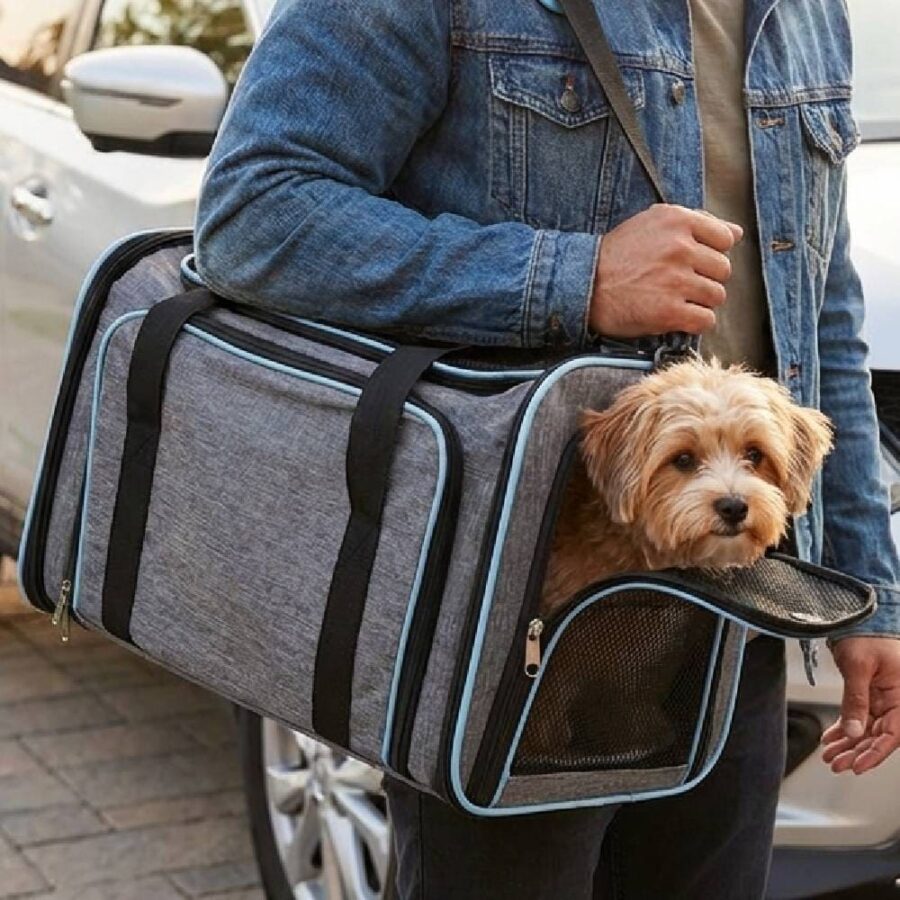 Sac Transport Chat Chien Extensible Bandoulière