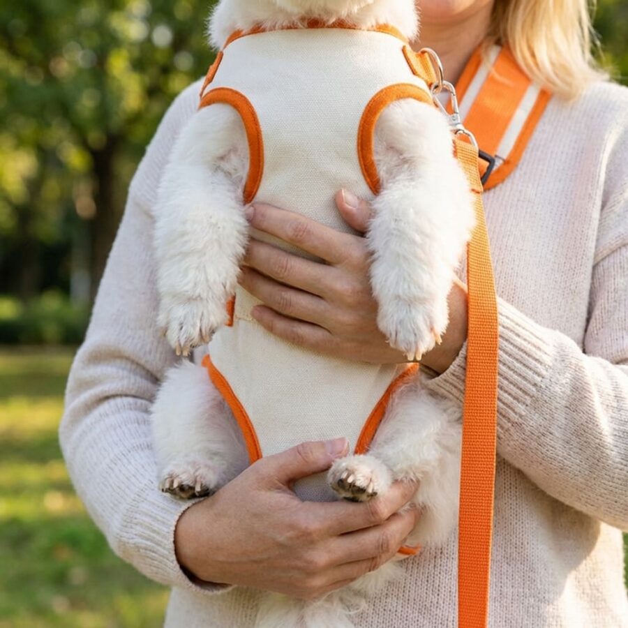 Sac Transport Chien blanc et bord orange vue ventre du chien