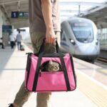 Sac Transport Bandoulière Oxford rose dans une gare sncf