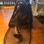 Sac Transport Chien Chat Mesh Respirant Taille L Rouge - Oxford 600D photo review