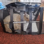 Sac Transport Chien Chat Mesh Respirant Taille L Rouge - Oxford 600D photo review