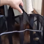 Sac Transport Chien Chat Mesh Respirant Taille L Rouge - Oxford 600D photo review