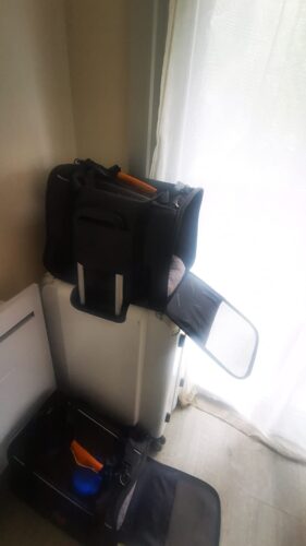 Sac De Transport Pour Chien Avion - Homologué Cabine photo review