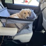 Siège transport chien voiture XXL 30 kg — grand chien photo review