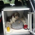 Cage Transport Alu Pour Chien Inclinée Taille M photo review