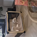 Cage Transport Pliable DODOPET 81x59x59cm Chien Chat Camping Voiture photo review