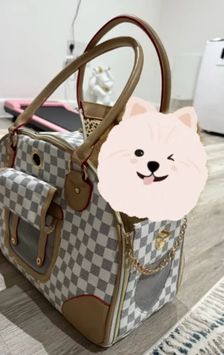Photo avis – Sac de transport petit chien Chihuahua – look sac à main, jusqu’à 4 kg