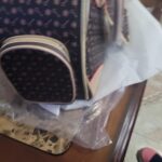Photo avis – Sac de transport petit chien Chihuahua – look sac à main, jusqu’à 4 kg