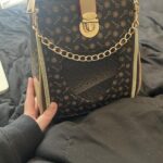 Photo avis – Sac de transport petit chien Chihuahua – look sac à main, jusqu’à 4 kg