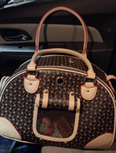 Photo avis – Sac de transport petit chien Chihuahua – look sac à main, jusqu’à 4 kg