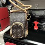 Photo avis – Sac de transport petit chien Chihuahua – look sac à main, jusqu’à 4 kg