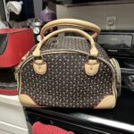 Photo avis – Sac de transport petit chien Chihuahua – look sac à main, jusqu’à 4 kg