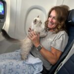 Photo avis – Sac de transport petit chien Chihuahua – look sac à main, jusqu’à 4 kg